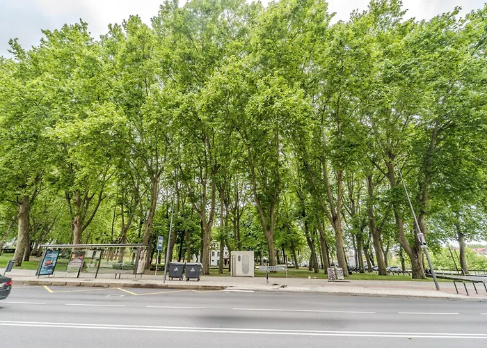 Lz By House And People